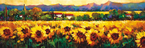 Sweeping Fields of Sunflowers