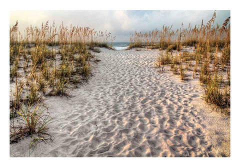 Path to the Beach