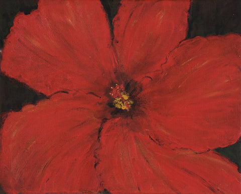 Garden Flower 1